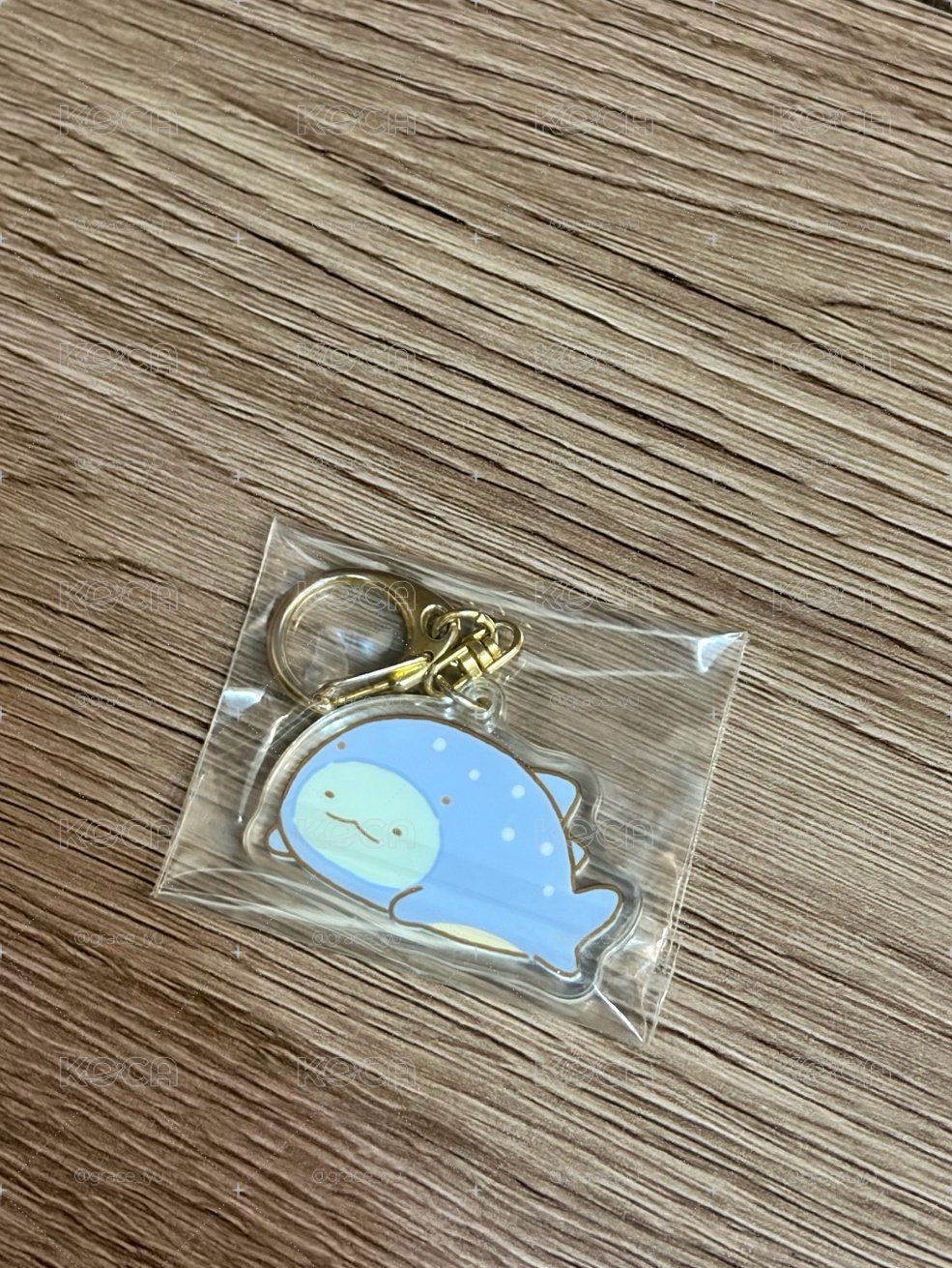 角落生物 蜥蜴壓克力吊飾