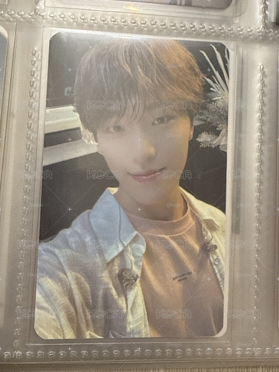 SVT 燦