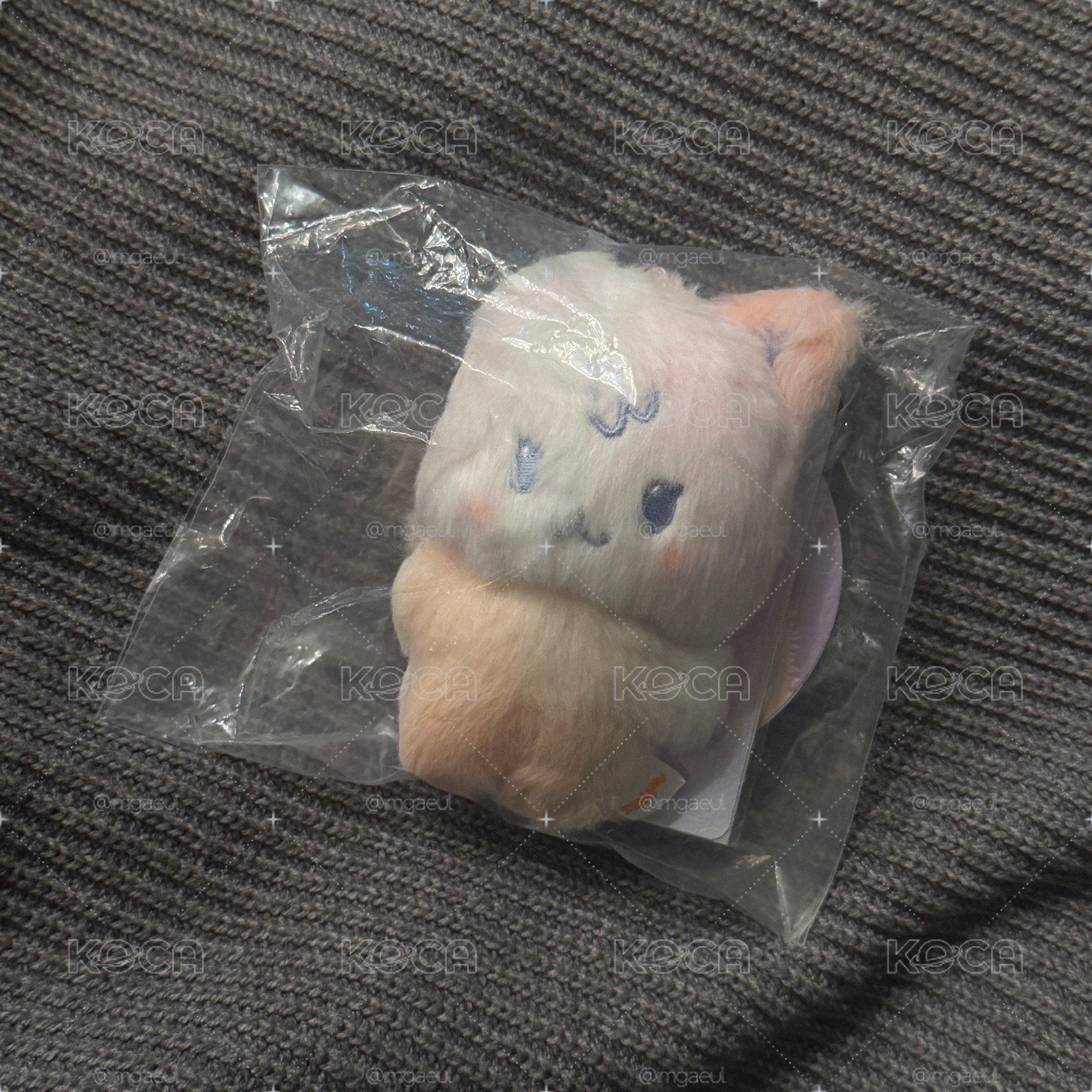 混色傘尼 🐱