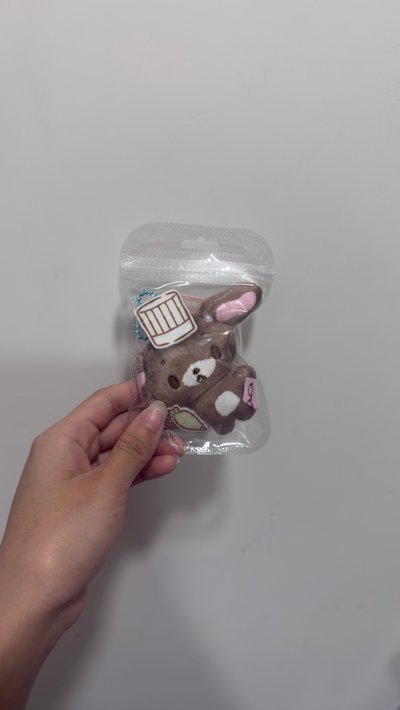 Sanrio Characters 香味絨毛吊飾
