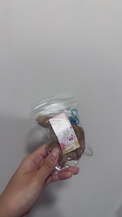 Sanrio Characters 香味絨毛吊飾