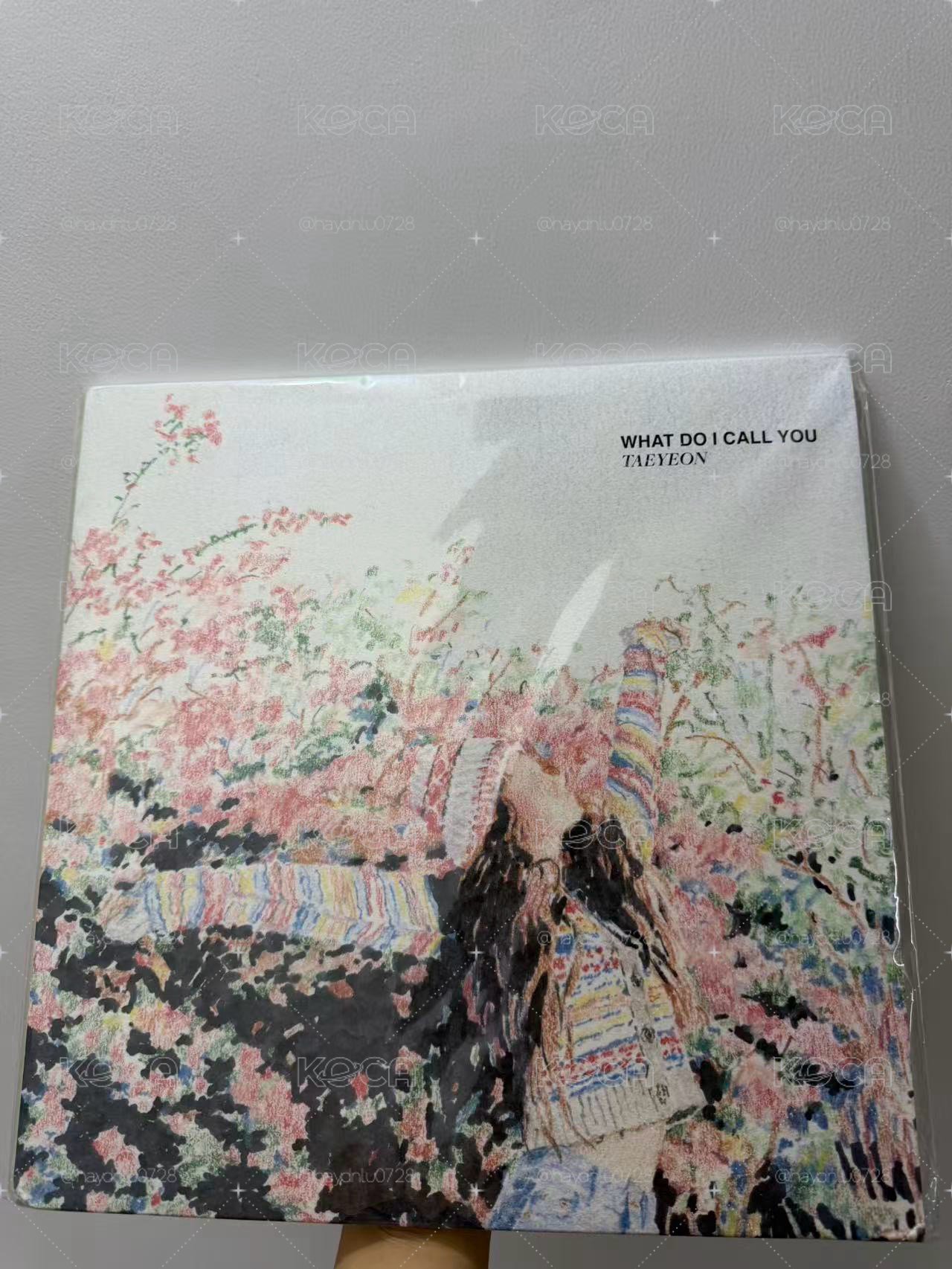 現貨下週寄出/WDICY 黑膠唱片 未拆