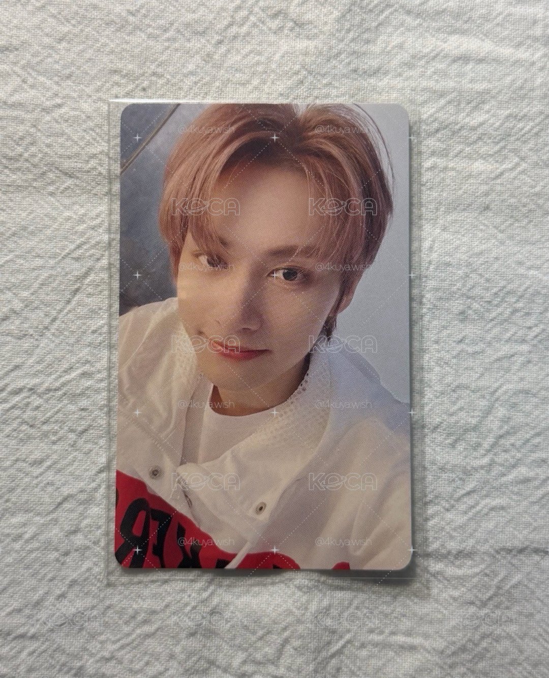 🐱mini7 hmv特典