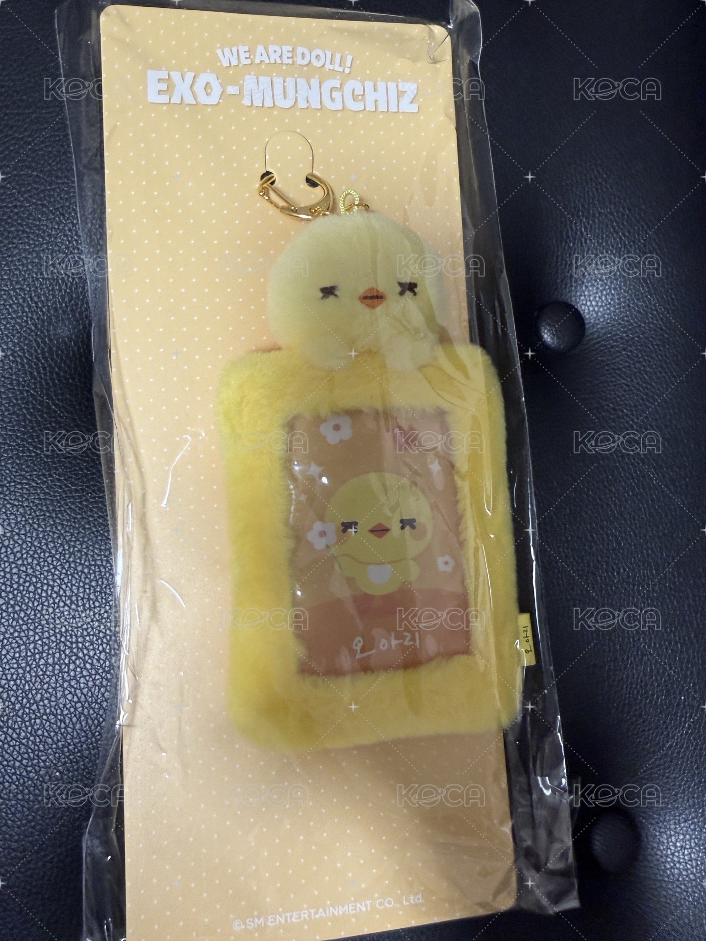 WE ARE DOLL! 卡套 (組) 現貨