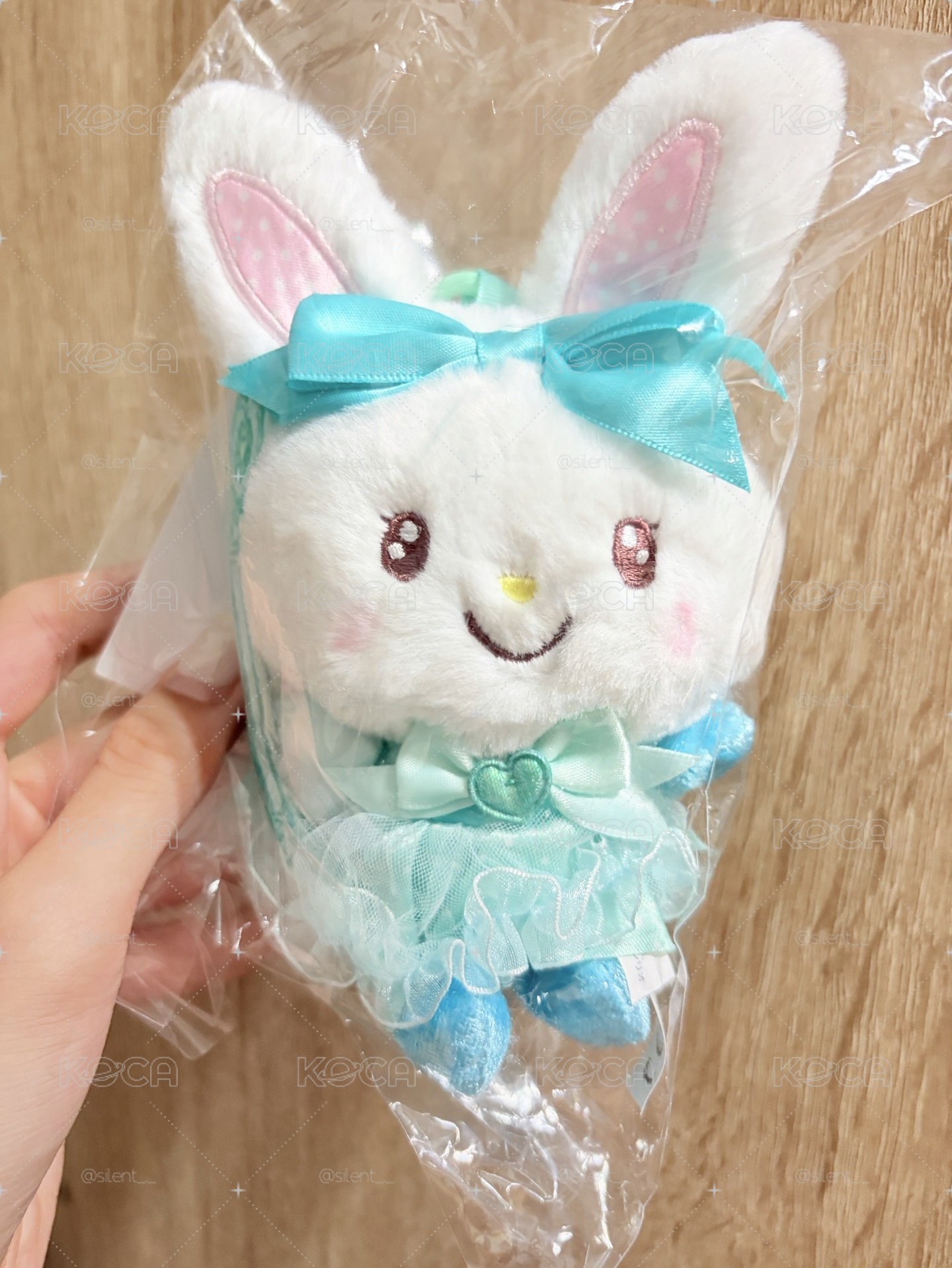 閃耀願望許願兔