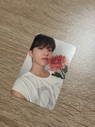 精選專專輯卡 CARAT ver 榮