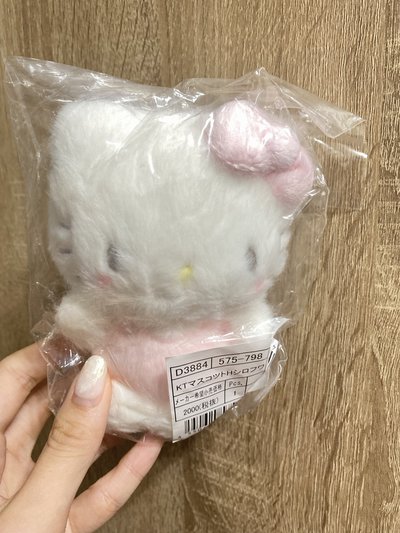 軟綿綿雲朵Kitty