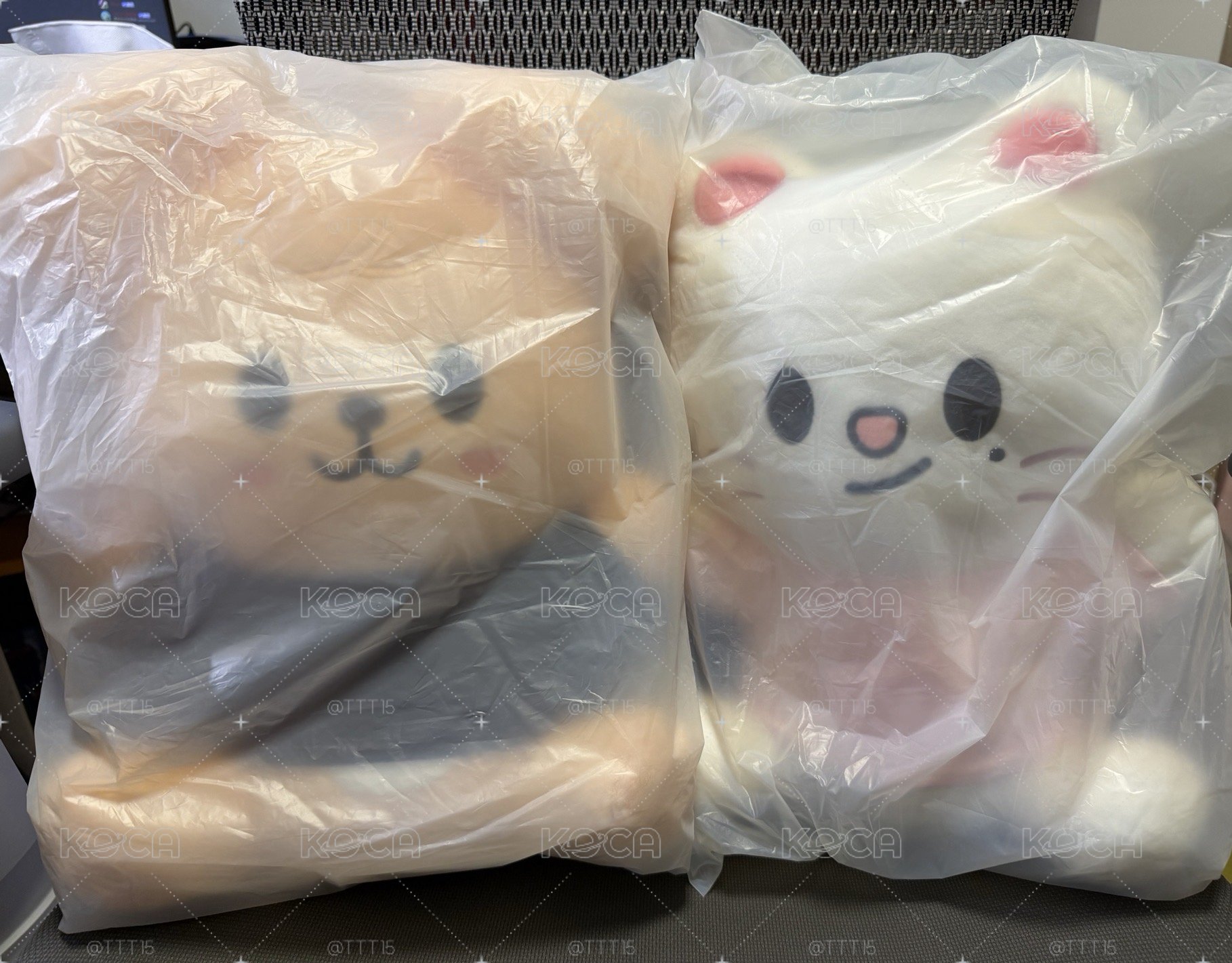 快閃抱抱娃 辰玟