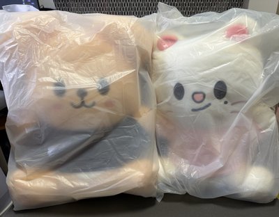 快閃抱抱娃 辰玟