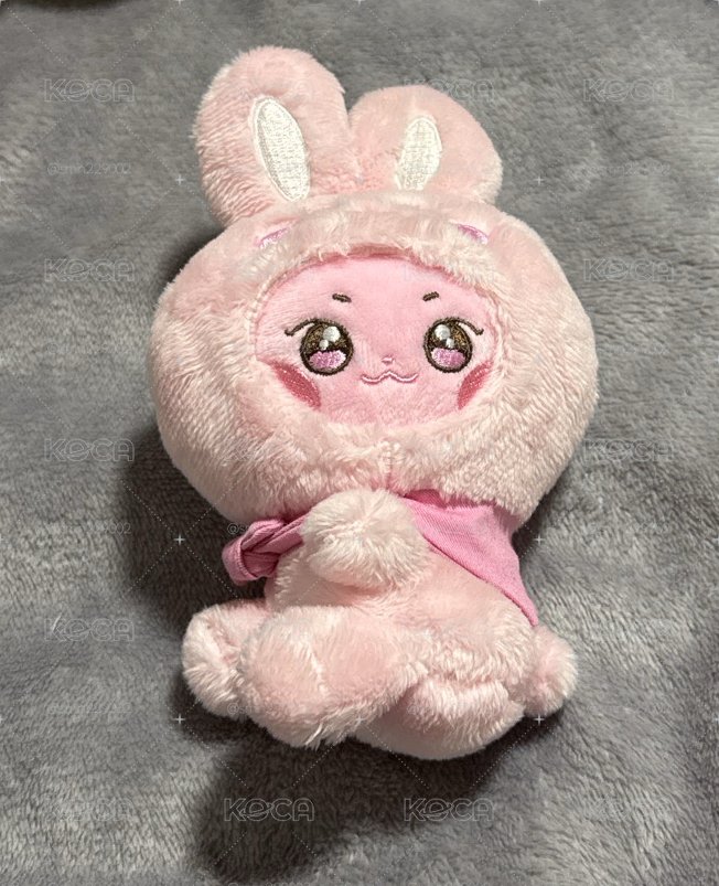 頭套兔兔🐰