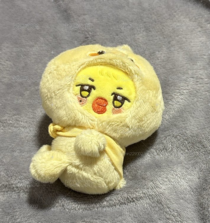 頭套小雞🐥