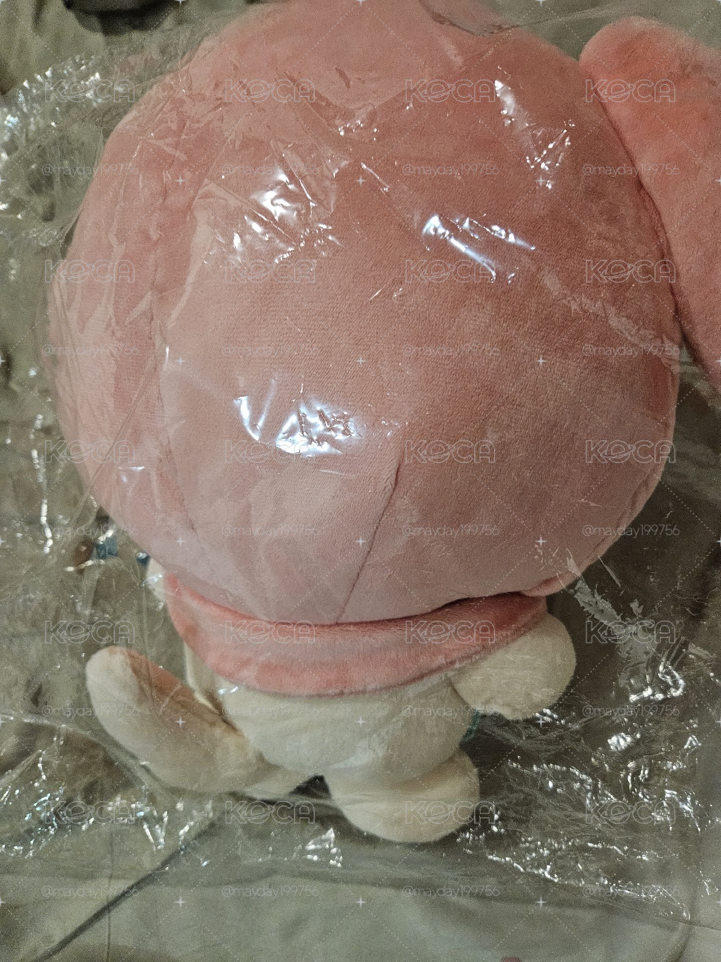 烈小狗