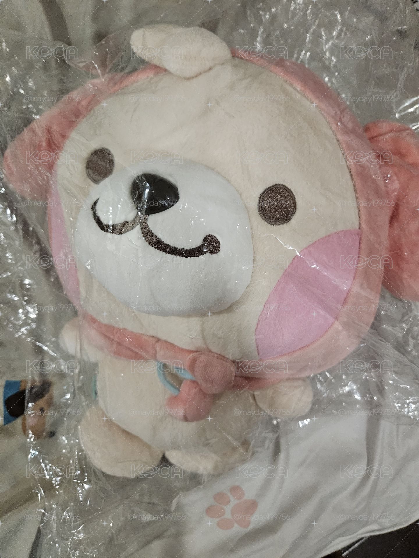 烈小狗