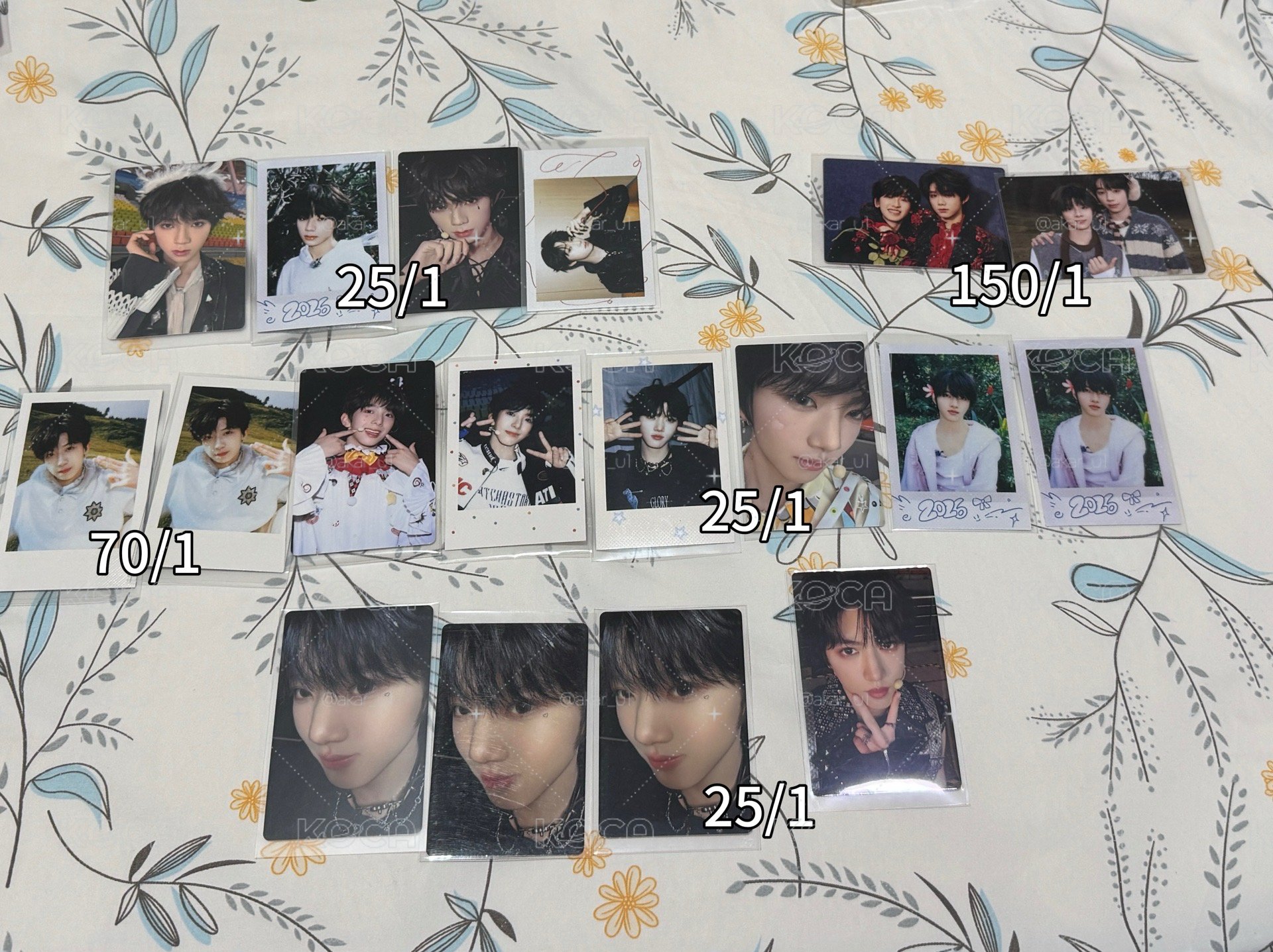 TF家族四代小卡