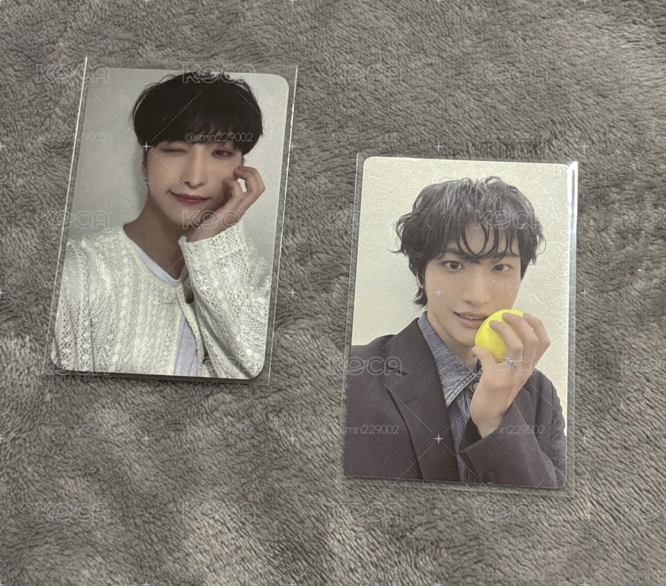 卷毛檸檬星&順毛WINK星