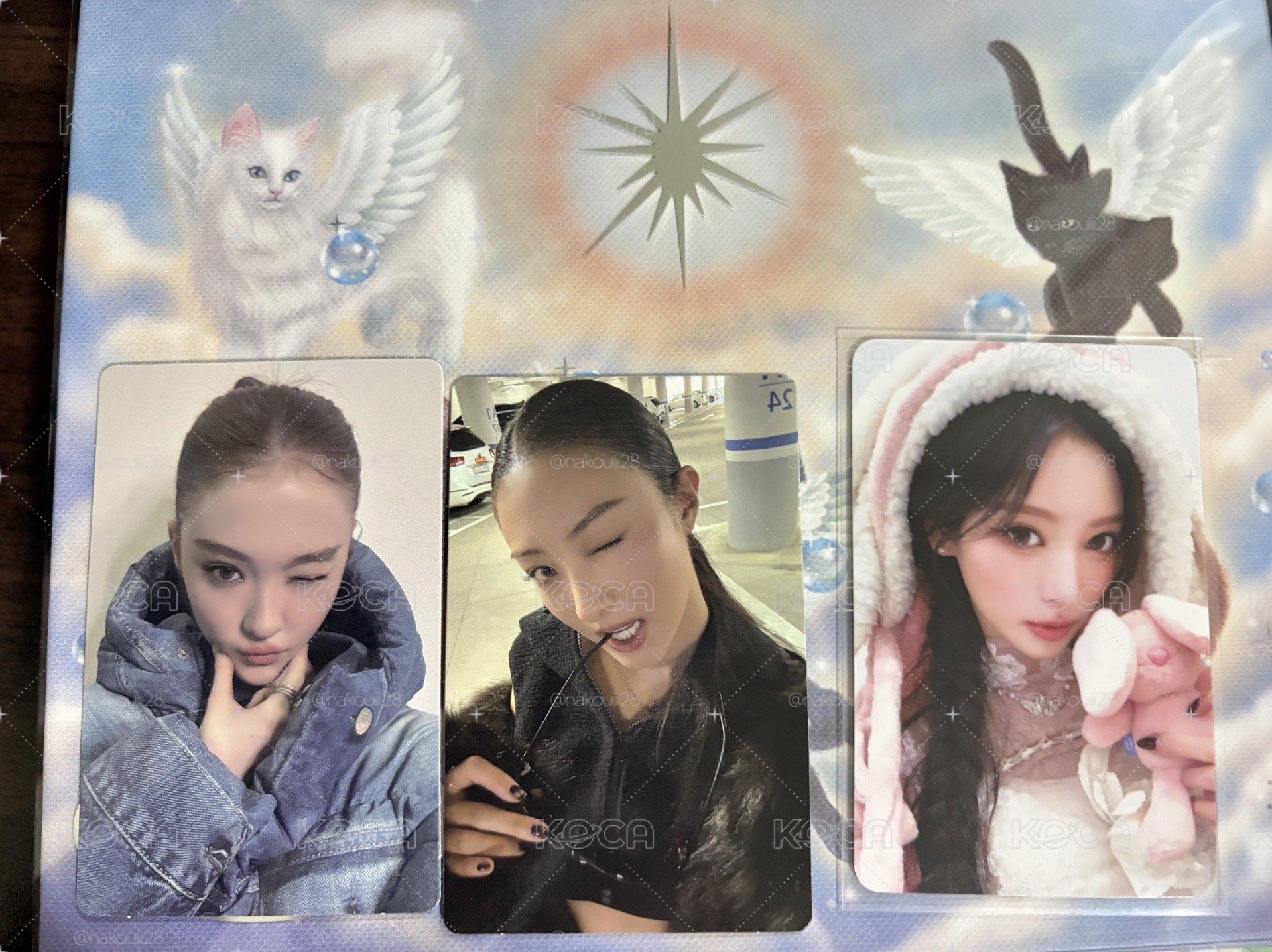 喵專+兔毯ANNA