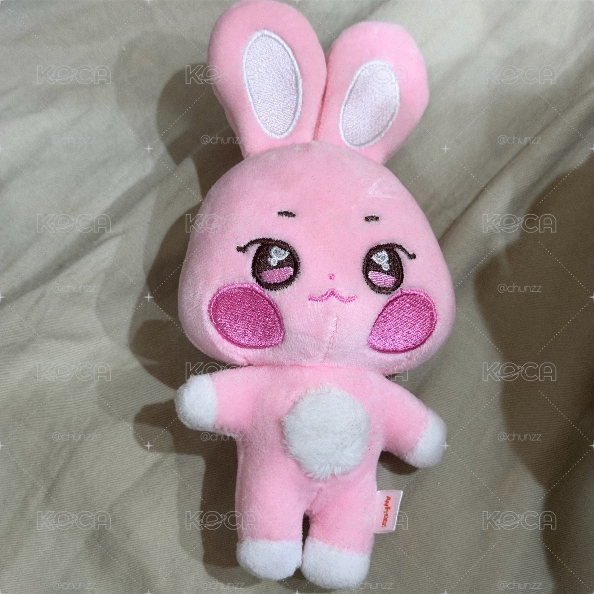 星🌟生日MD盤 原皮星吊飾娃 虎爪星