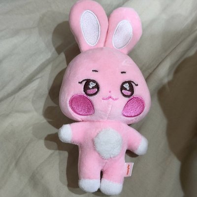 星🌟生日MD盤 原皮星吊飾娃 虎爪星