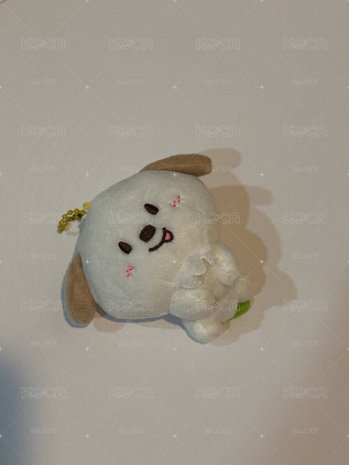 現貨送中文卡背卡｜小芒狗龍 無原袋 未下水