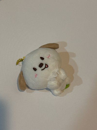 現貨送中文卡背卡｜小芒狗龍 無原袋 未下水