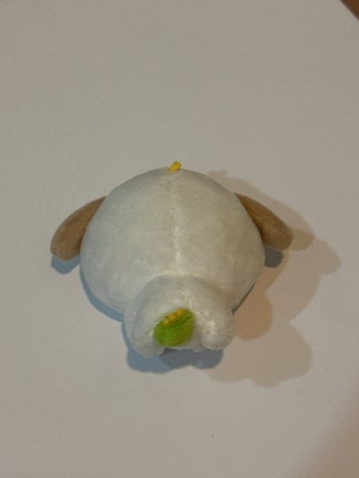 現貨送中文卡背卡｜小芒狗龍 無原袋 未下水