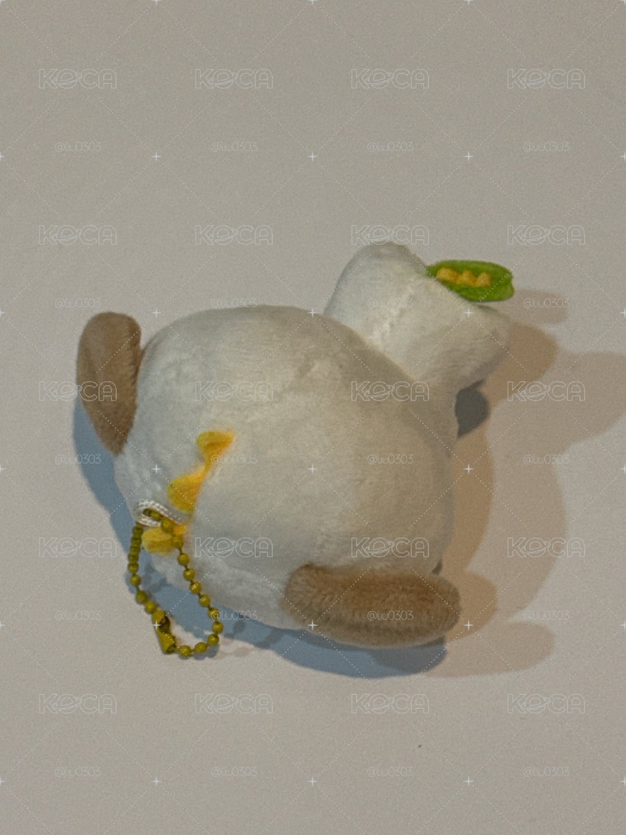 現貨送中文卡背卡｜小芒狗龍 無原袋 未下水