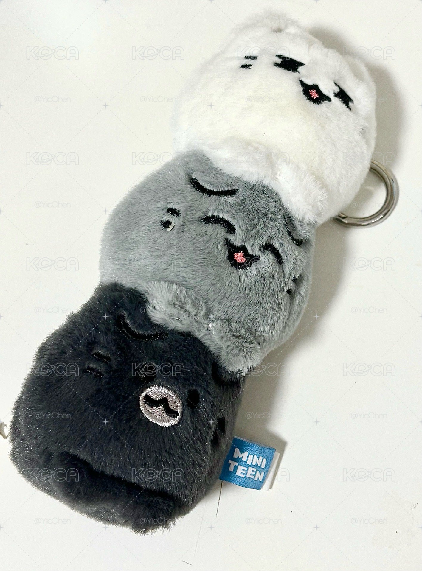 俊小盤（保留中）