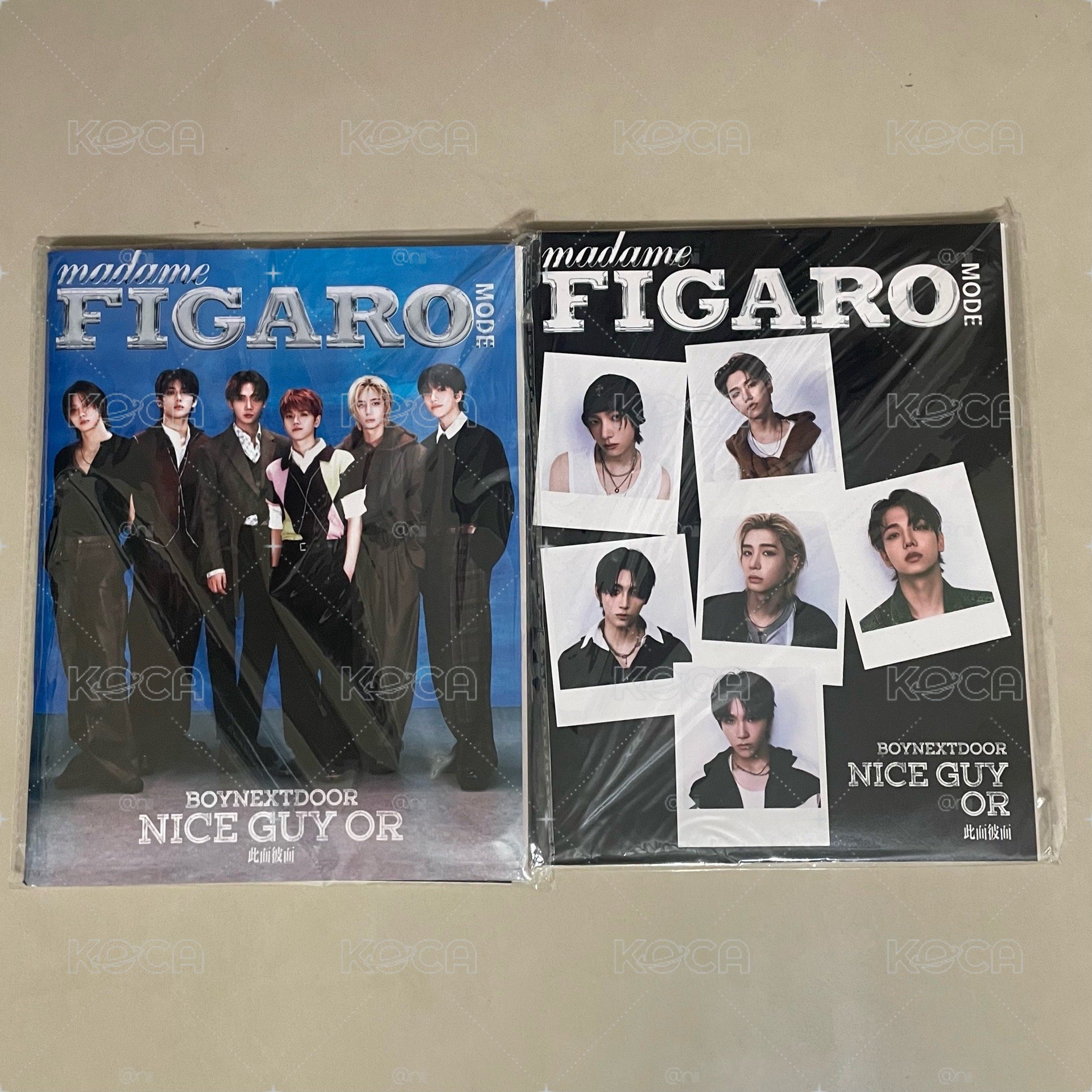 費加羅 雜誌 A B版 含海報