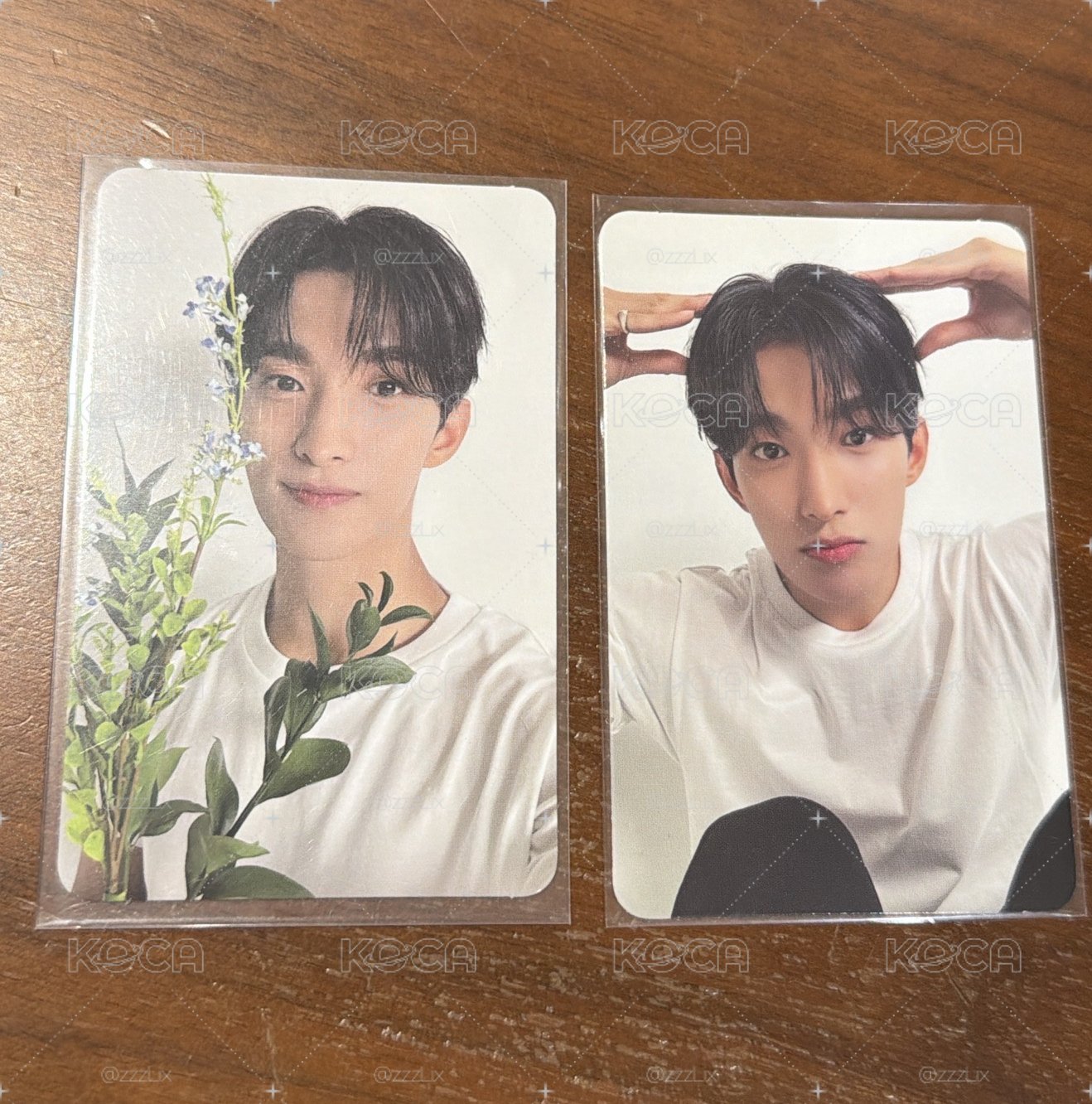 SEVENTEEN DK 親愛盤 克拉盤 專卡 狗狗碩