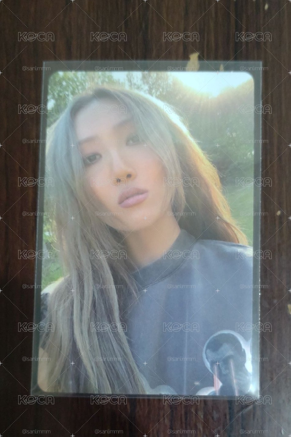 WAW 專卡_莎