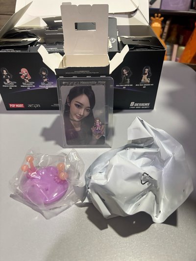 泡泡瑪特公仔 隱藏吉