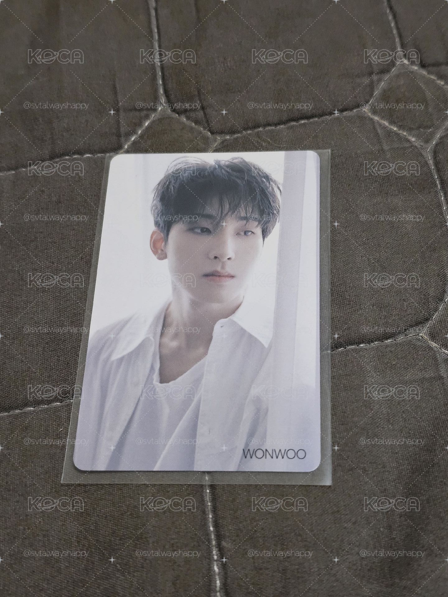 迷9 hmv特典卡 圓佑