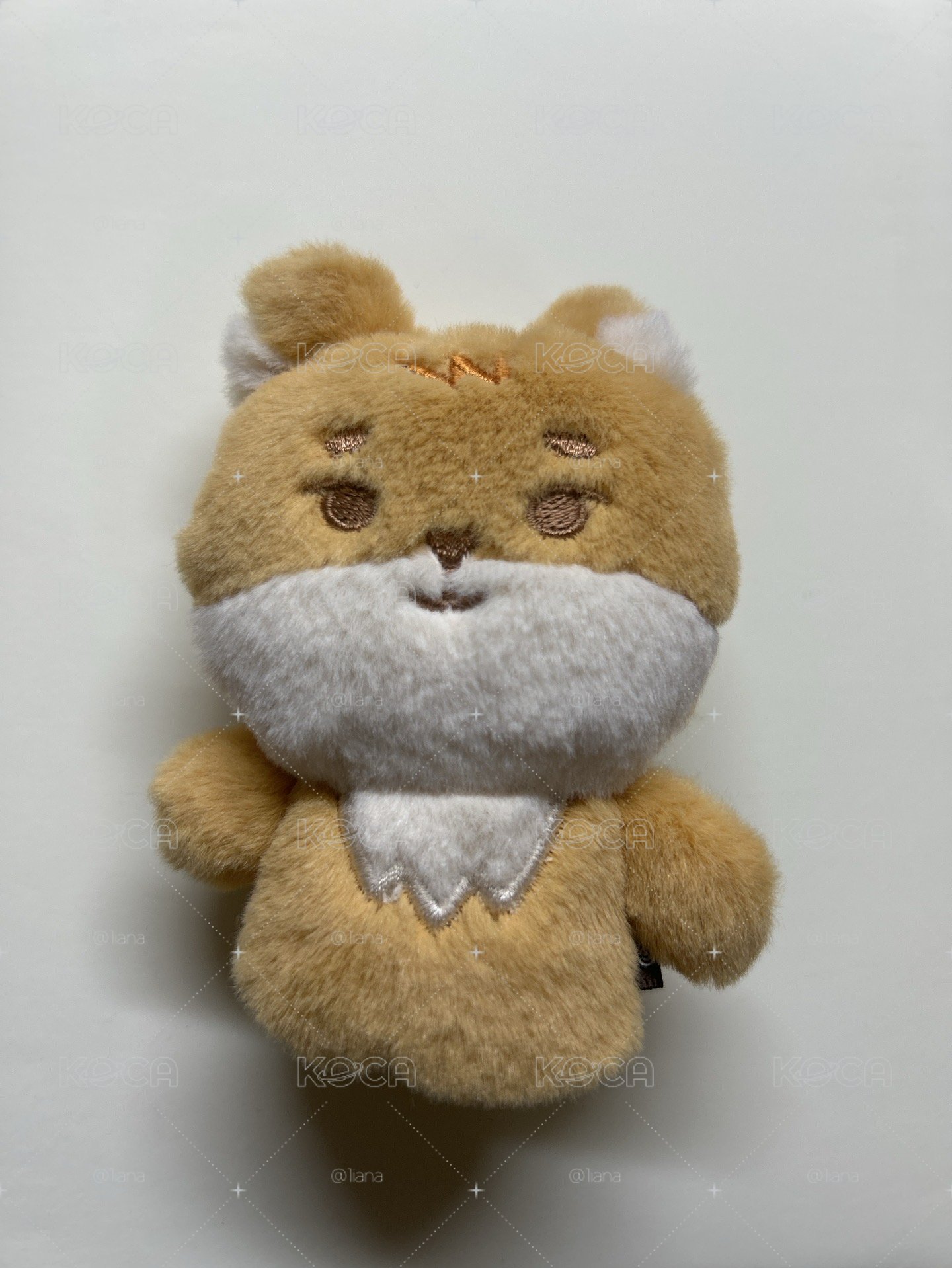 3rd 世巡安可場 🦊指偶