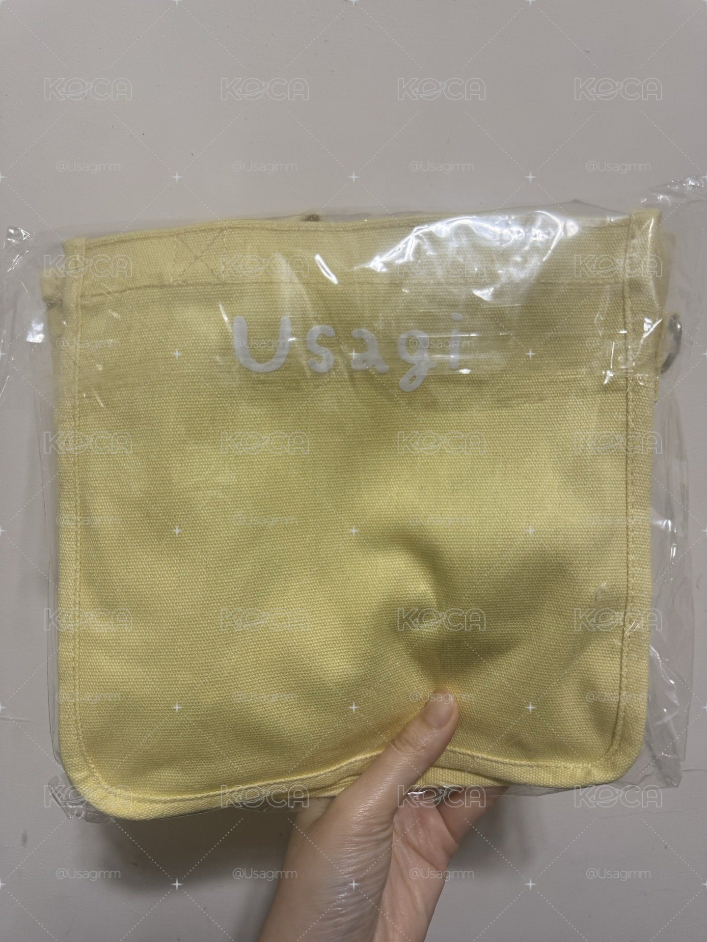 Parade景品 2WAY 手提包 