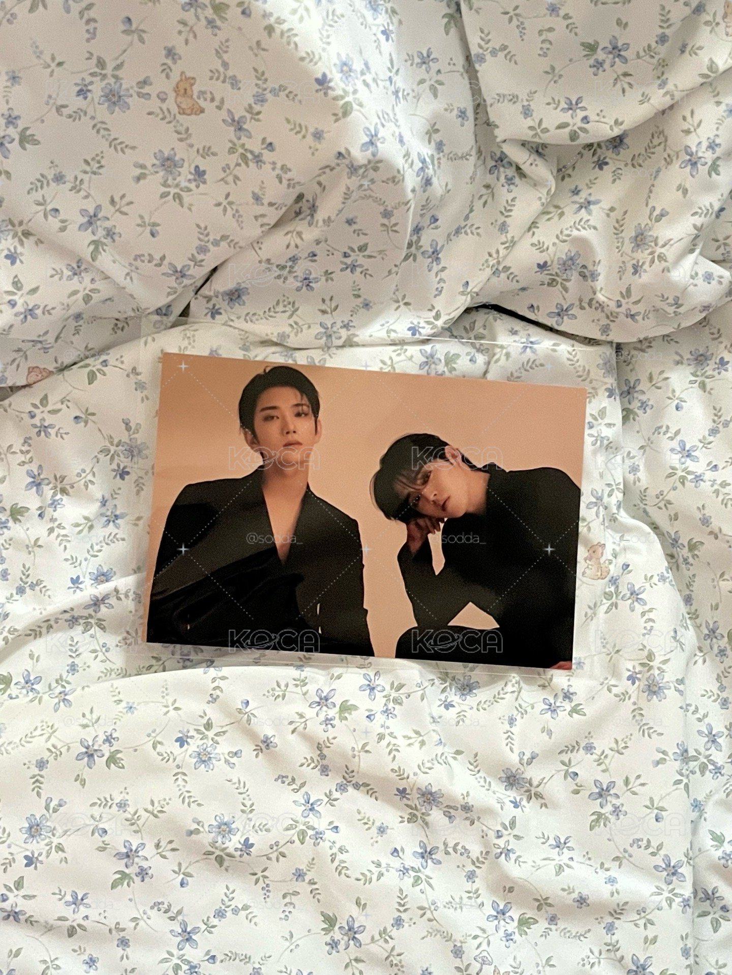 SEVENTEEN ｜哲&秀mini8明信片