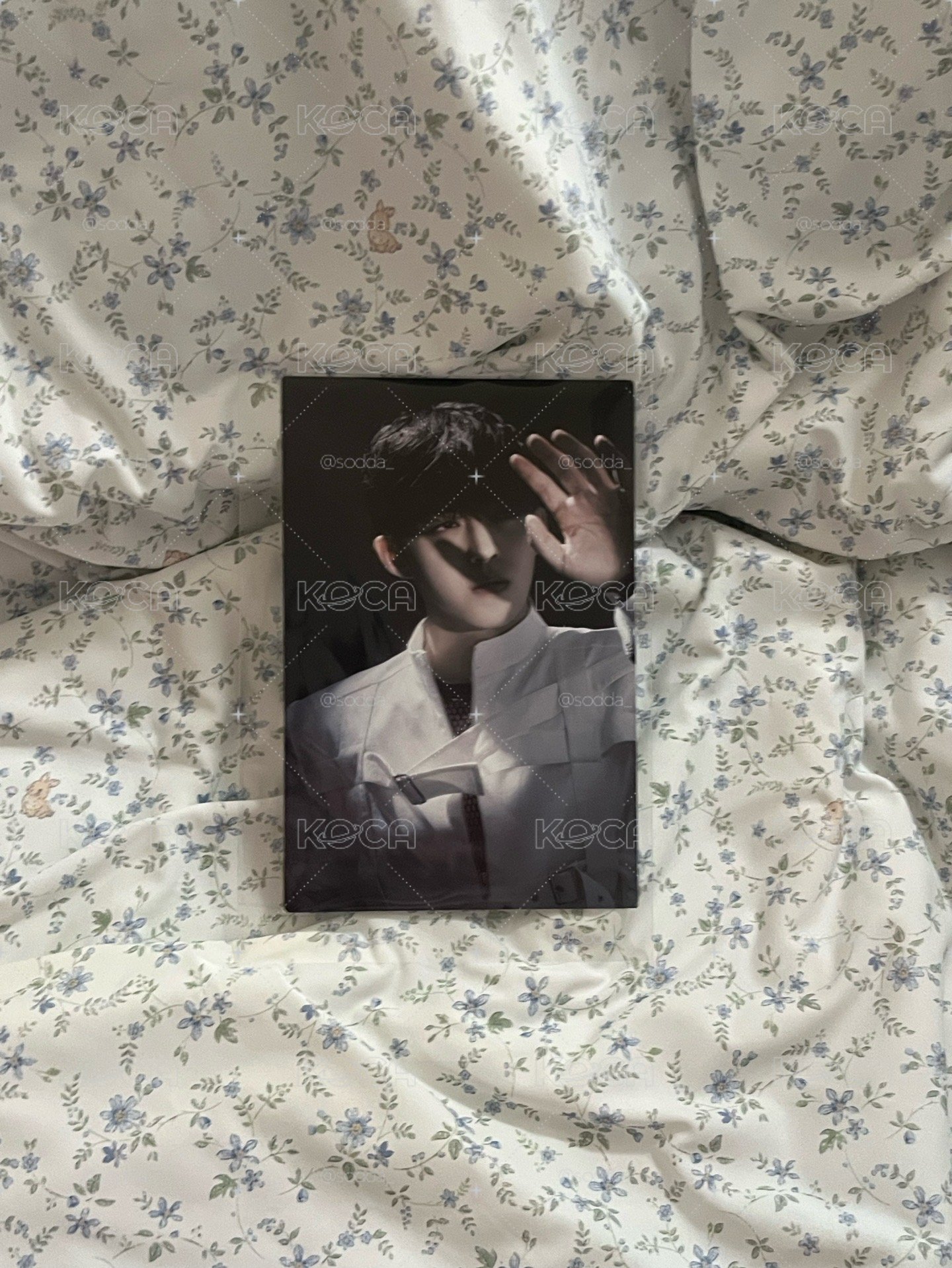 SEVENTEEN ｜哲&碩正四明信片（內文看物況贈正四隨機1本pb）