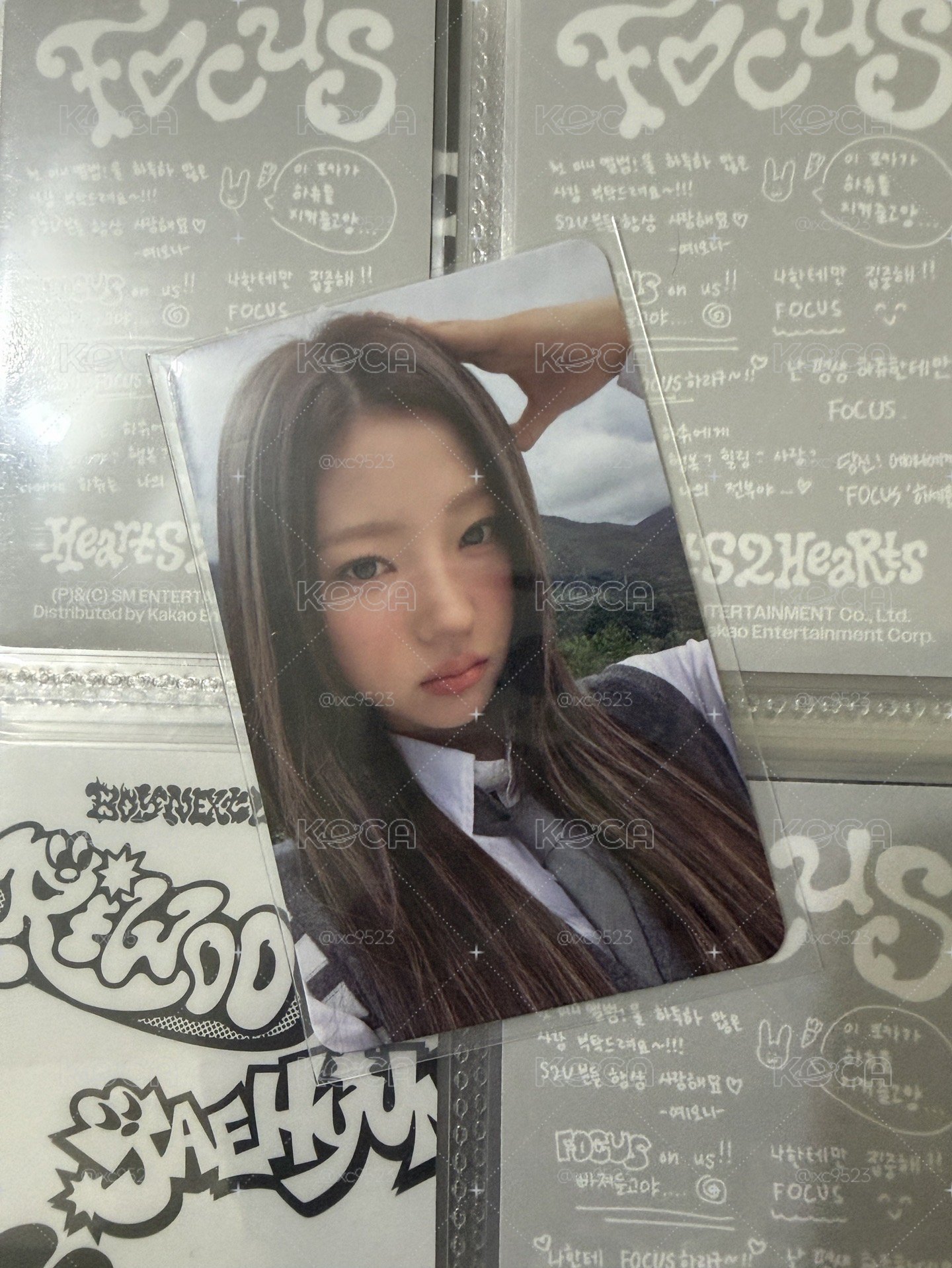 STELLA FOCUS專卡