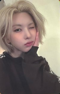 小夜曲 電子專 專輯卡 固配生活