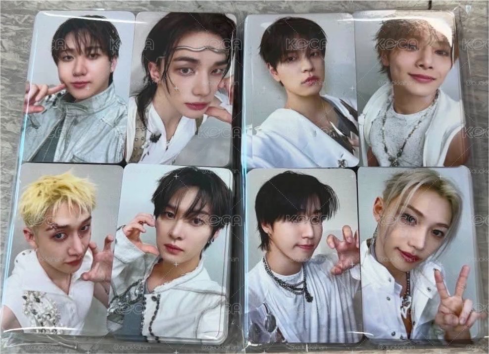 Stray Kids THIS & THAT BDM 方燦