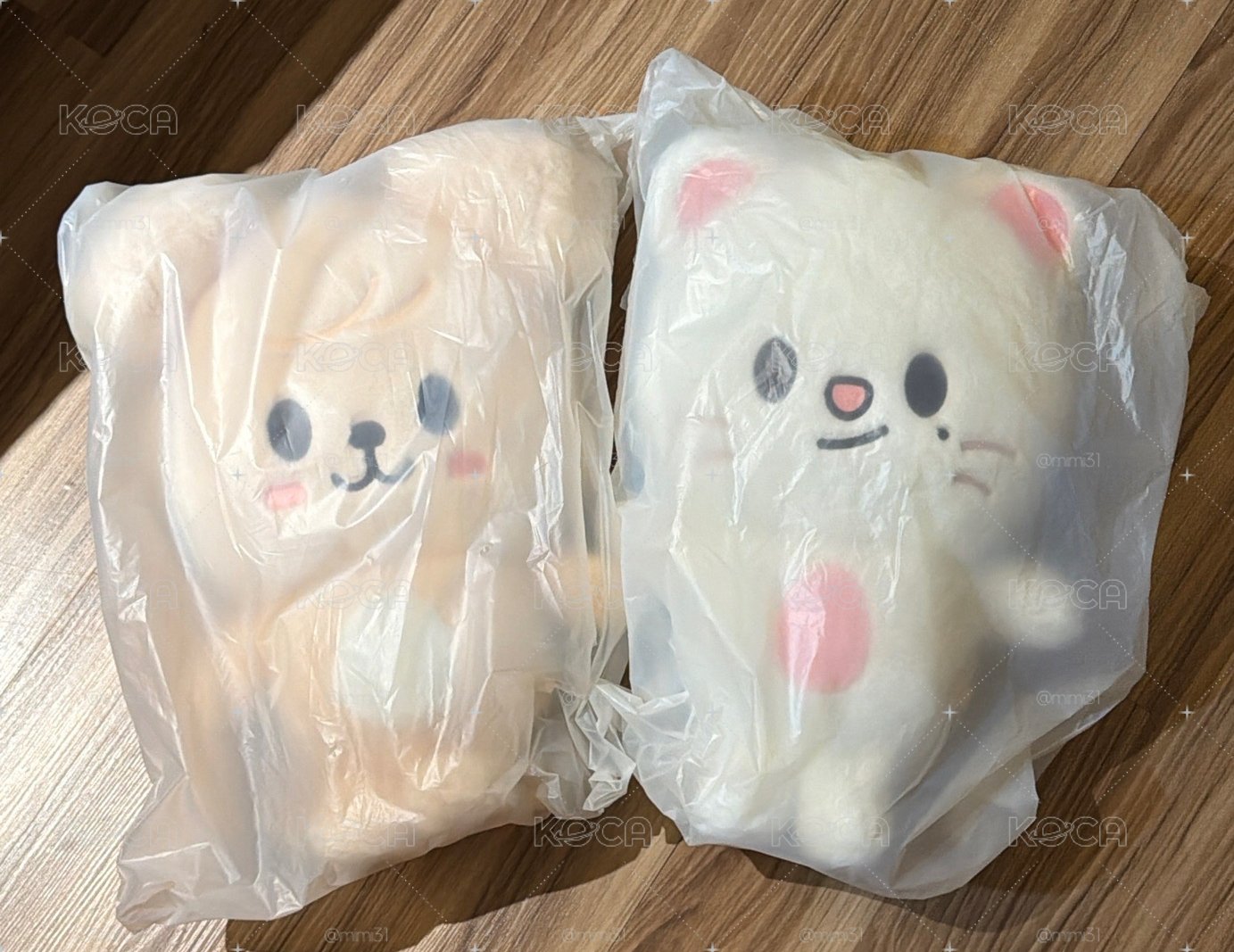 後背包含卡 全新現貨