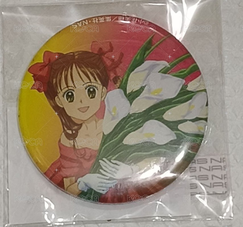 捧花紗南