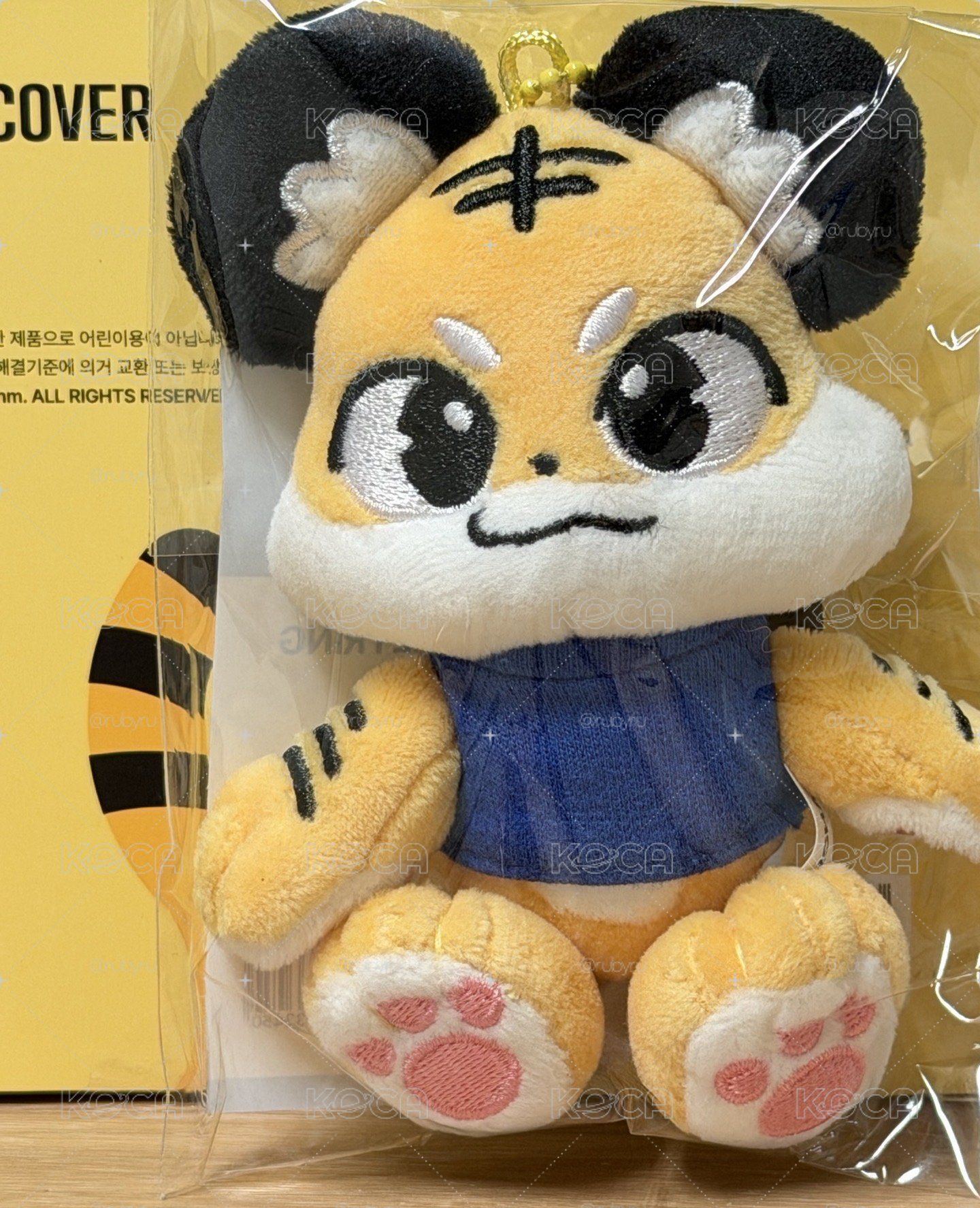 東海solo演唱會 小虎