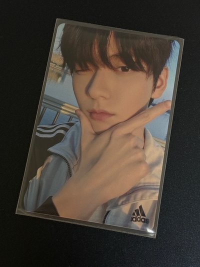 🧸wink阿迪彬