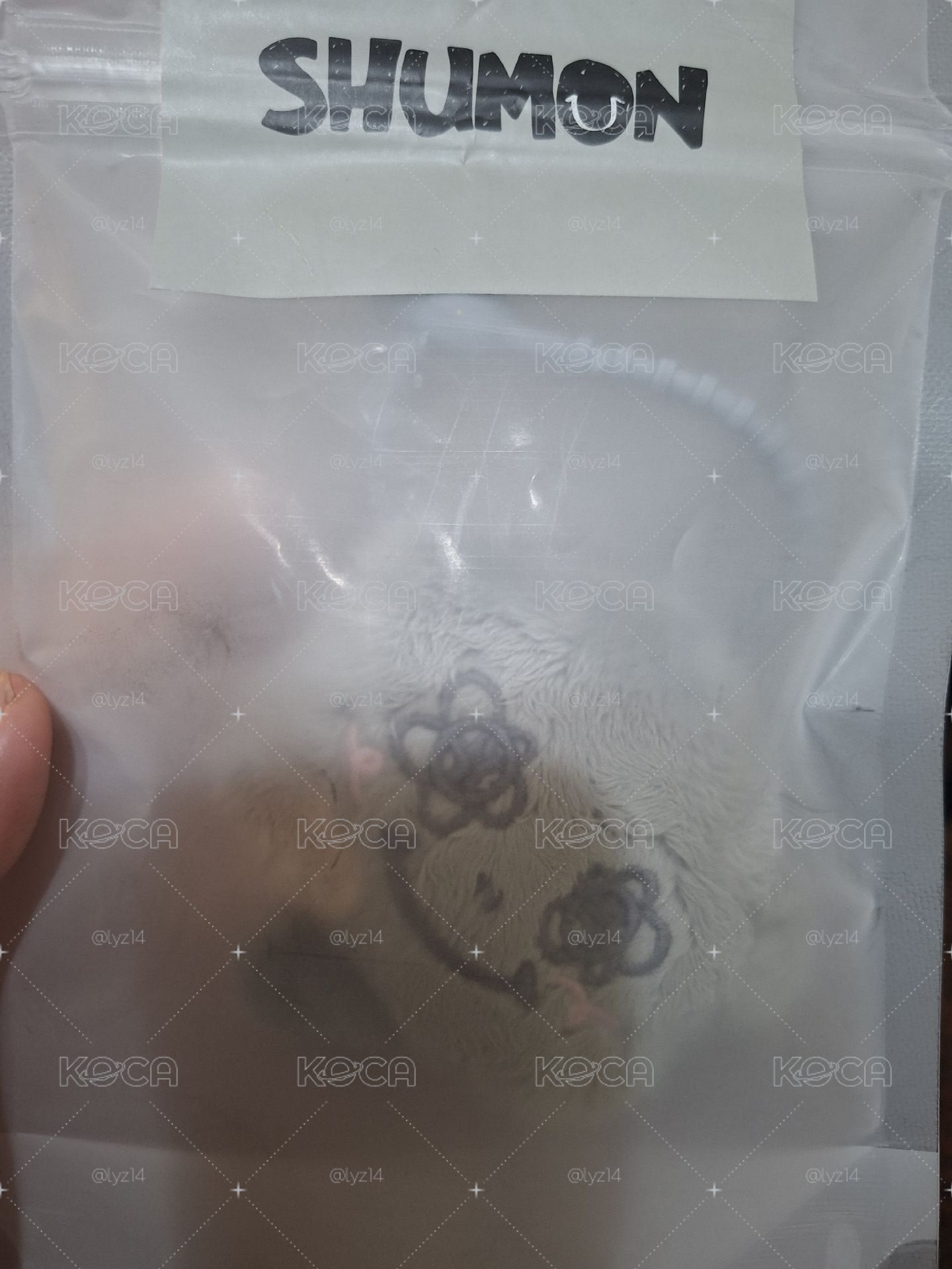 小灰塵