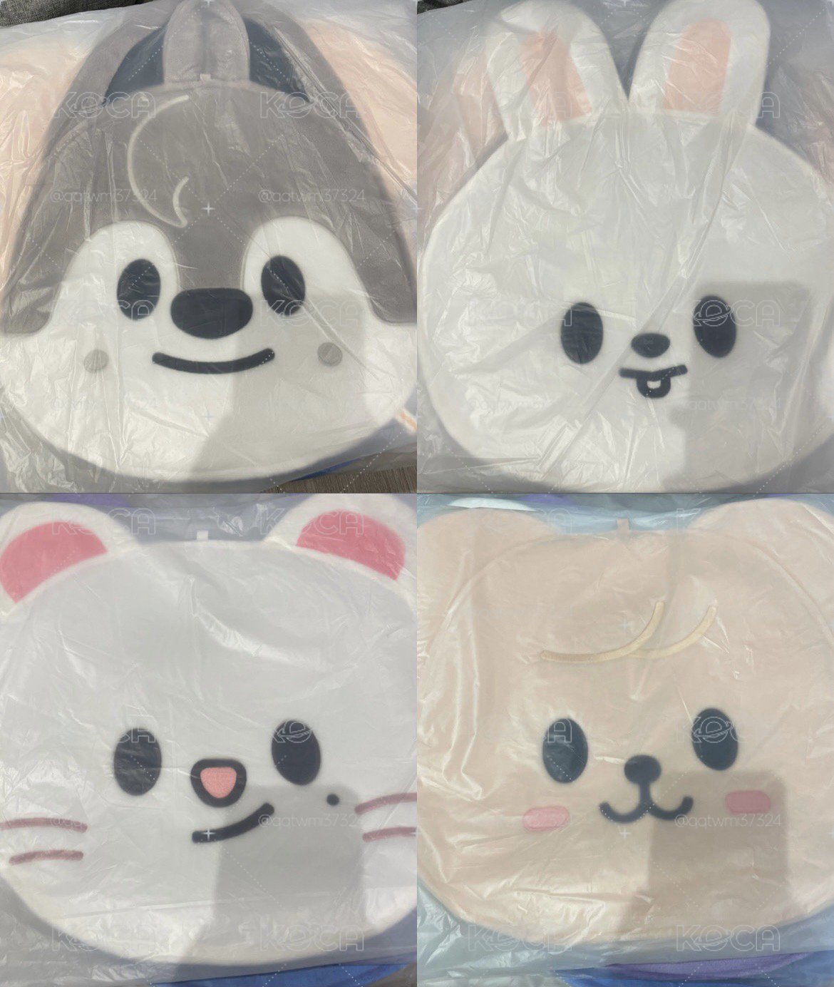 現貨 SKZ 豆豆眼扇套 FANS購入 箱子出貨 