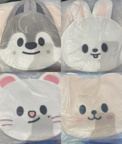 現貨 SKZ 豆豆眼扇套 FANS購入 箱子出貨 