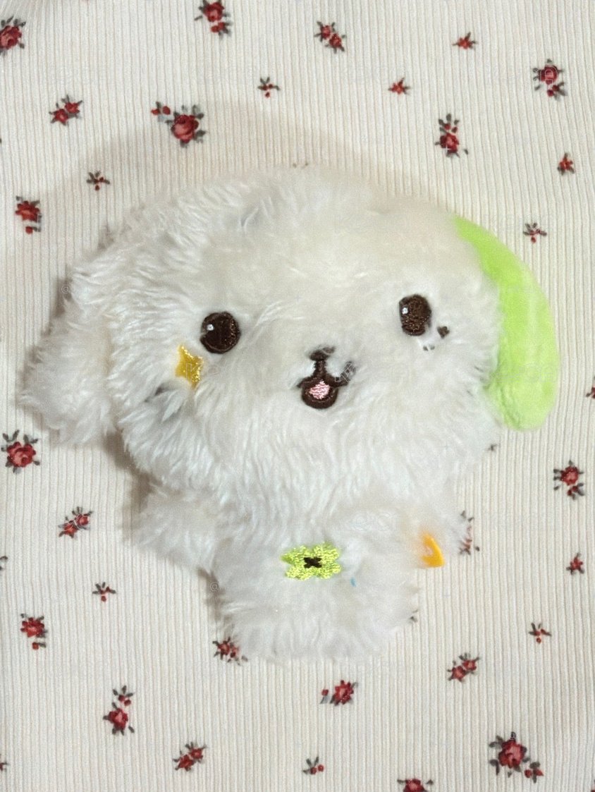 Ryo口袋娃