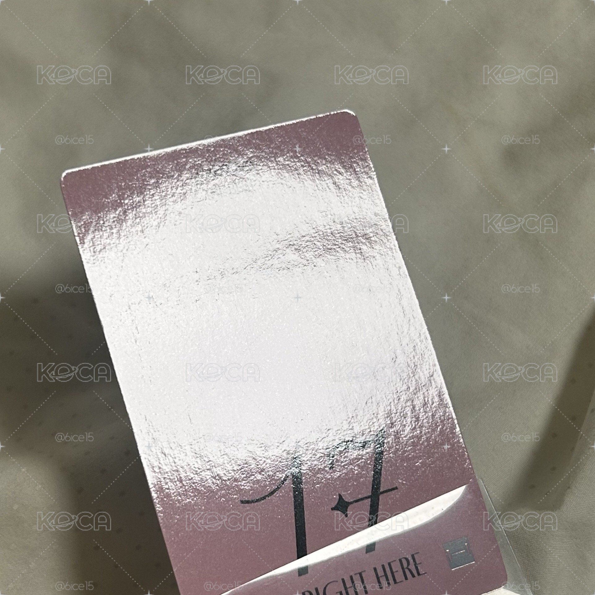 榮｜精選專特典