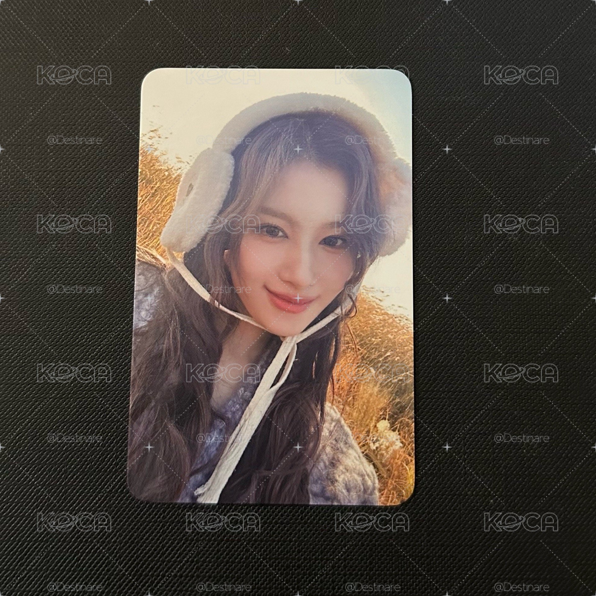 🐹耳罩紗特典