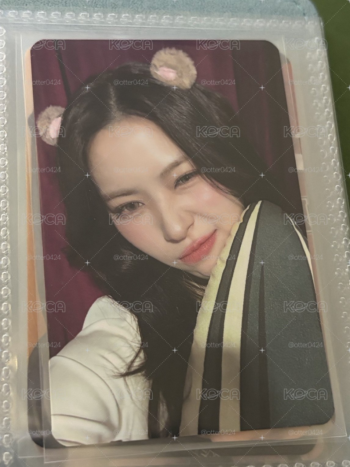 倉鼠留